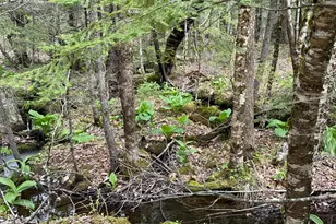 48 Highland Ridge, Hollis, ME 04042 - Photo 52