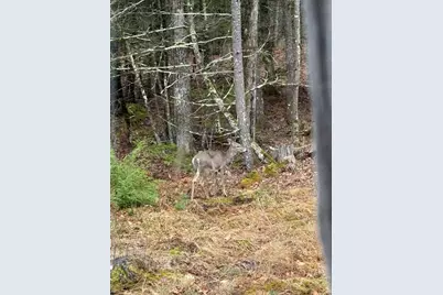 48 Highland Ridge, Hollis, ME 04042 - Photo 56