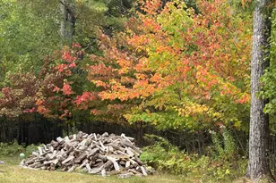 25 Kennel Brk Dr, Lamoine, ME 04605 - Photo 64