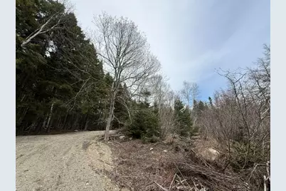 Lot 4 Holmes Bay Farms Road, Whiting, ME 04691 - Photo 8