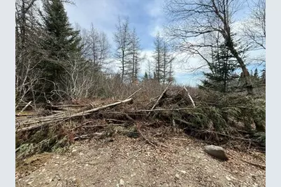 Lot 6 Holmes Bay Farms Road, Whiting, ME 04691 - Photo 48