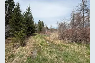 Lot 6 Holmes Bay Farms Road, Whiting, ME 04691 - Photo 20
