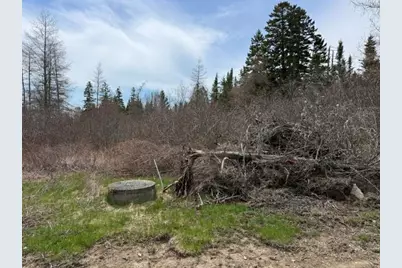 Lot 6 Holmes Bay Farms Road, Whiting, ME 04691 - Photo 28
