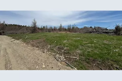 Lot 6 Holmes Bay Farms Road, Whiting, ME 04691 - Photo 34