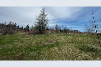 Lot 6 Holmes Bay Farms Road, Whiting, ME 04691 - Photo 32