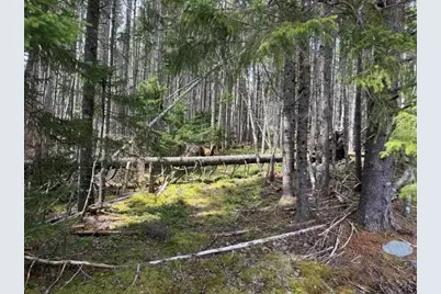 Lot 6 Holmes Bay Farms Road, Whiting, ME 04691 - Photo 1