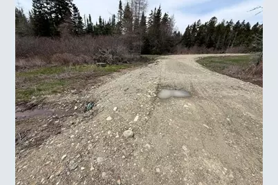 Lot 6 Holmes Bay Farms Road, Whiting, ME 04691 - Photo 30