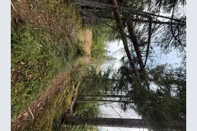 Lot 6 Holmes Bay Farms Road, Whiting, ME 04691 - Photo 64