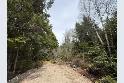 Lot 6 Holmes Bay Farms Road, Whiting, ME 04691 - Photo 62
