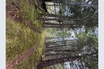Lot 6 Holmes Bay Farms Road, Whiting, ME 04691 - Photo 56