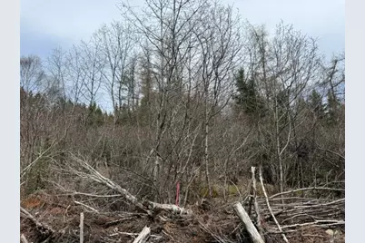 Lot 6 Holmes Bay Farms Road, Whiting, ME 04691 - Photo 38