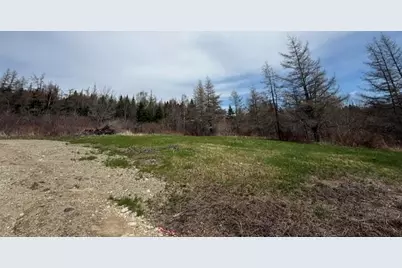 Lot 6 Holmes Bay Farms Road, Whiting, ME 04691 - Photo 40