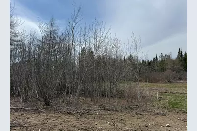 Lot 6 Holmes Bay Farms Road, Whiting, ME 04691 - Photo 36