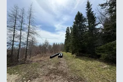 Lot 5 Holmes Bay Farms Road, Whiting, ME 04691 - Photo 4