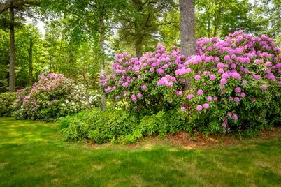 154 Chestnut Street, Camden, ME 04843 - Photo 48