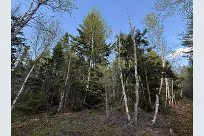 Lot 13 Pidgeon Point Road, Whiting, ME 04691 - Photo 16