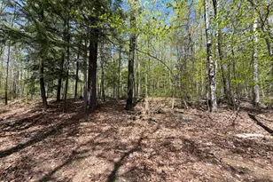 220 Bearce Rd, Sangerville, ME 04479 - Photo 26