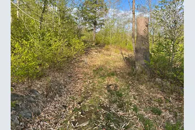 Map7Lot9 Wm Livermore Road, Fayette, ME 04349 - Photo 20
