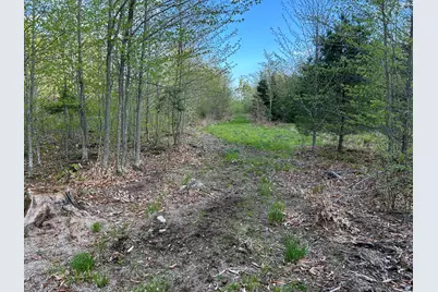 Map7Lot9 Wm Livermore Road, Fayette, ME 04349 - Photo 18