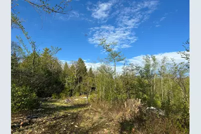 Map7Lot9 Wm Livermore Road, Fayette, ME 04349 - Photo 1