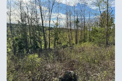 Map7Lot9 Wm Livermore Road, Fayette, ME 04349 - Photo 24
