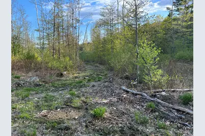 Map7Lot9 Wm Livermore Road, Fayette, ME 04349 - Photo 22