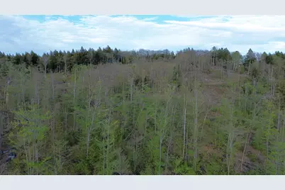 Map7Lot9 Wm Livermore Road, Fayette, ME 04349 - Photo 14