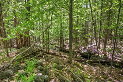 Lot 26 Rowe Hill Road, Greenwood, ME 04255 - Photo 38