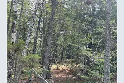 00 Reach Road, Deer Isle, ME 04627 - Photo 8