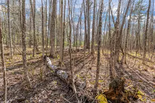Lot 45-2 Pinewoods Trail, Oakland, ME 04963 - Photo 32