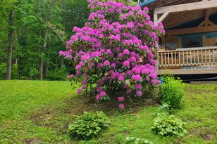 203 Belgrade Rd, Oakland, ME 04963 - Photo 2