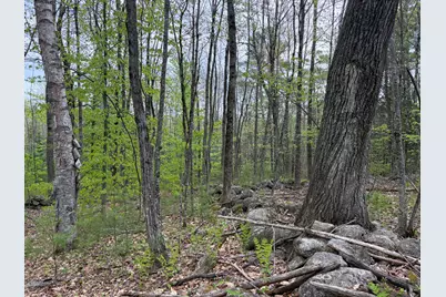 Lot 13-B2 South Town Farm Road, Oxford, ME 04270 - Photo 12