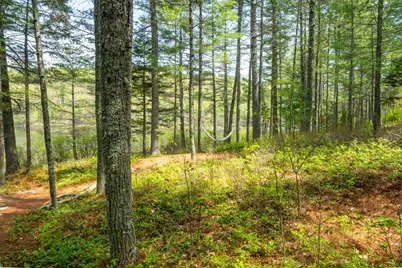40 Lakeside Drive, Swanville, ME 04915 - Photo 46