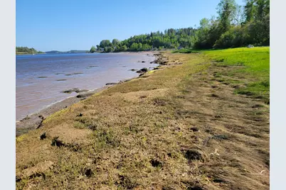 M21L46 Port Road, Machiasport, ME 04655 - Photo 12