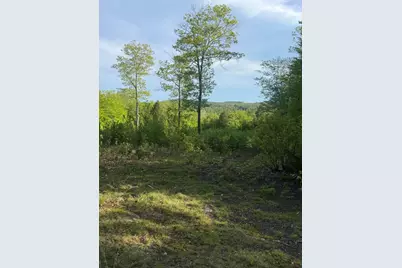 Lot 9 McDaniels Road, Waterford, ME 04088 - Photo 6