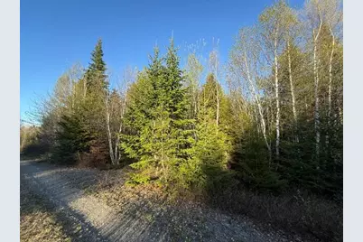 Lot 009 Off Of Reynolds Brook Road, Whiting, ME 04691 - Photo 6