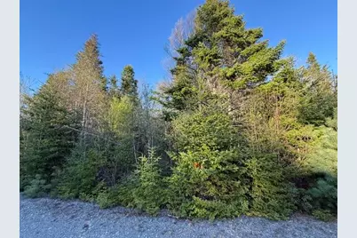 Lot 009 Off Of Reynolds Brook Road, Whiting, ME 04691 - Photo 4