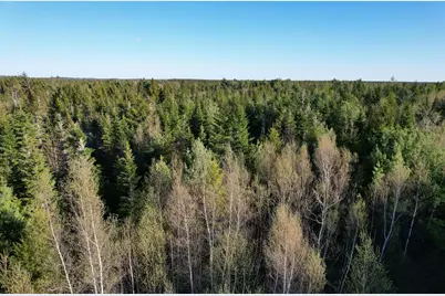 Lot 009 Off Of Reynolds Brook Road, Whiting, ME 04691 - Photo 2