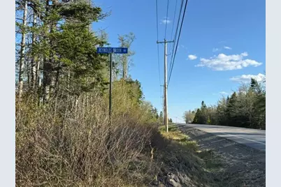 Lot 009 Off Of Reynolds Brook Road, Whiting, ME 04691 - Photo 16