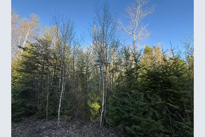 Lot 009 Off Of Reynolds Brook Road, Whiting, ME 04691 - Photo 10