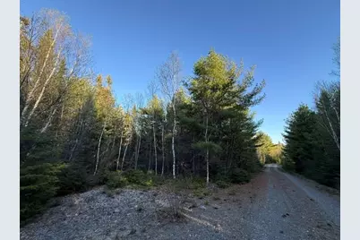 Lot 009 Off Of Reynolds Brook Road, Whiting, ME 04691 - Photo 14