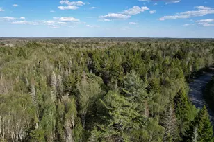 Lot 009 Off Of Reynolds Brook Rd, Whiting, ME 04691 - Photo 1