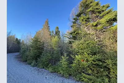 Lot 009 Off Of Reynolds Brook Road, Whiting, ME 04691 - Photo 8