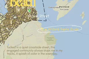 71 Willard St, South Portland, ME 04106 - Photo 68