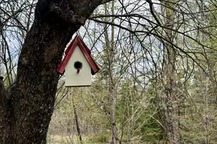107 Washington St, Greenville, ME 04441 - Photo 18