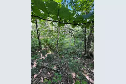 L24 Poplar Ridge Drive, Falmouth, ME 04105 - Photo 12