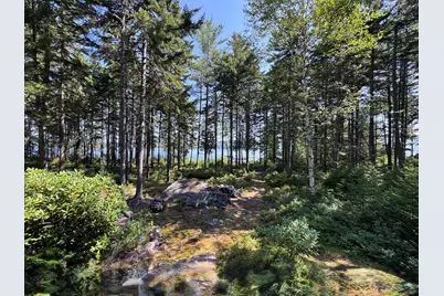 M1 L12-10 Toothaker Island, Rangeley Plt,  04970 - Photo 20