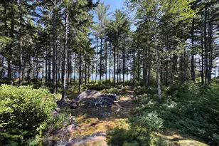 M1 L12-10 Toothaker Island, Rangeley Plt,  04970 - Photo 20