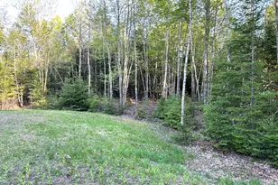 84 St Louis Ave, Hermon, ME 04401 - Photo 36