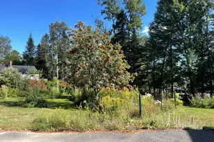 52 Cross St, Rangeley, ME 04970 - Photo 6
